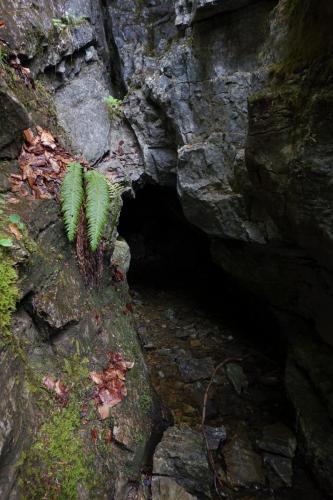 Eingangsportal