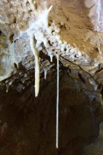 besonders langes Sinterröhrchen