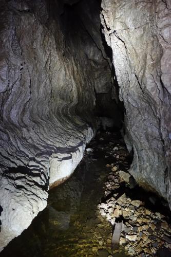 Canyongang