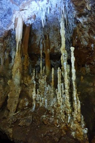 Gruppe aus sehr schmalen Stalagmiten