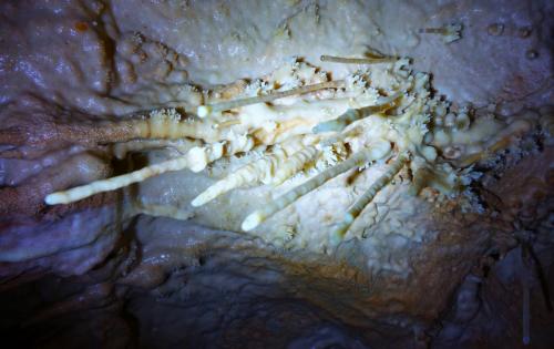 Stalagtiten mit kleinen Kristallbildungen