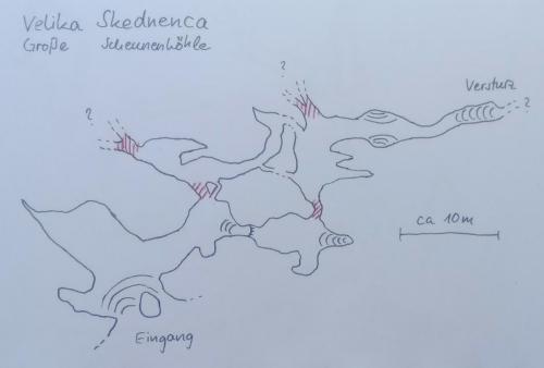 Velika Skednenca
