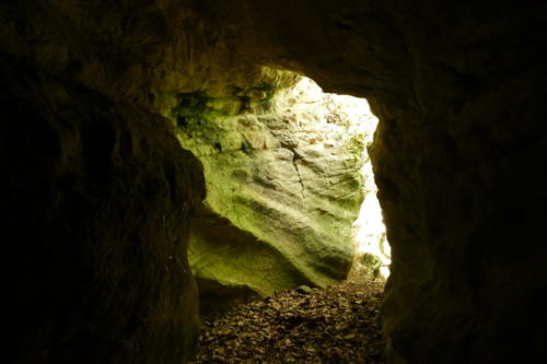 Eingangskurve