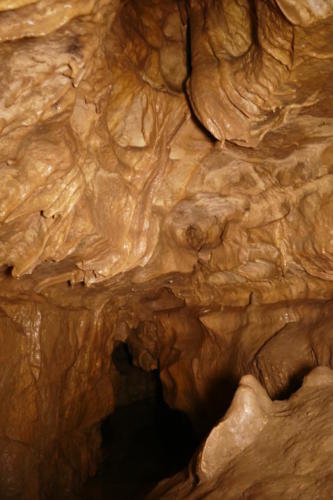 zweite Kammer