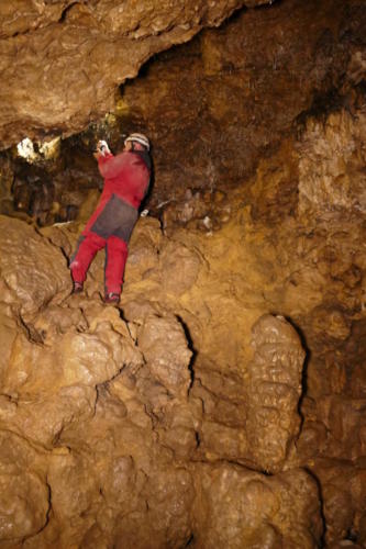 Stalagmitenhalle