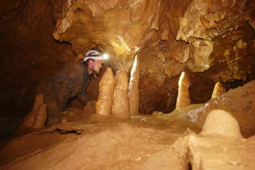 Stalagmiten