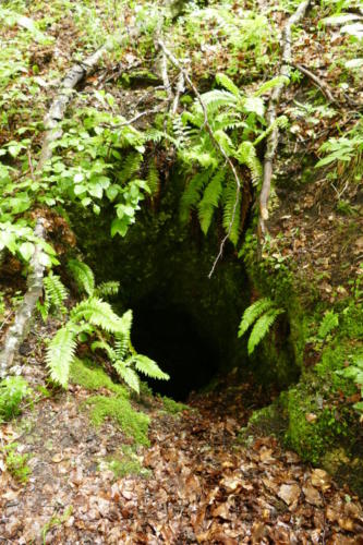 Eingang