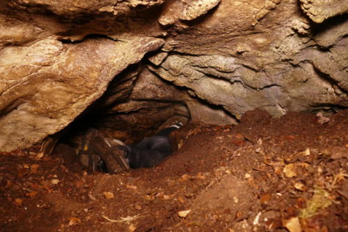 vorderer Kriechgang