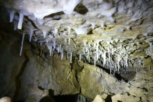 Tropfsteine