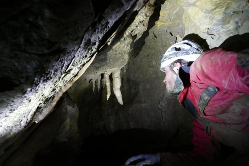 Stalagtiten