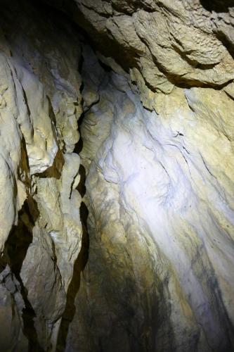 Zweite Kammer