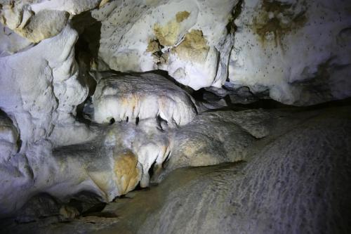 Versinterung in zweiter Kammer