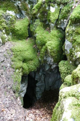 Eingang
